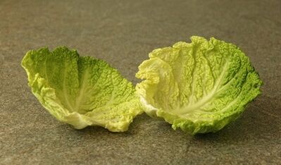 Treat varicose veins with cabbage leaves