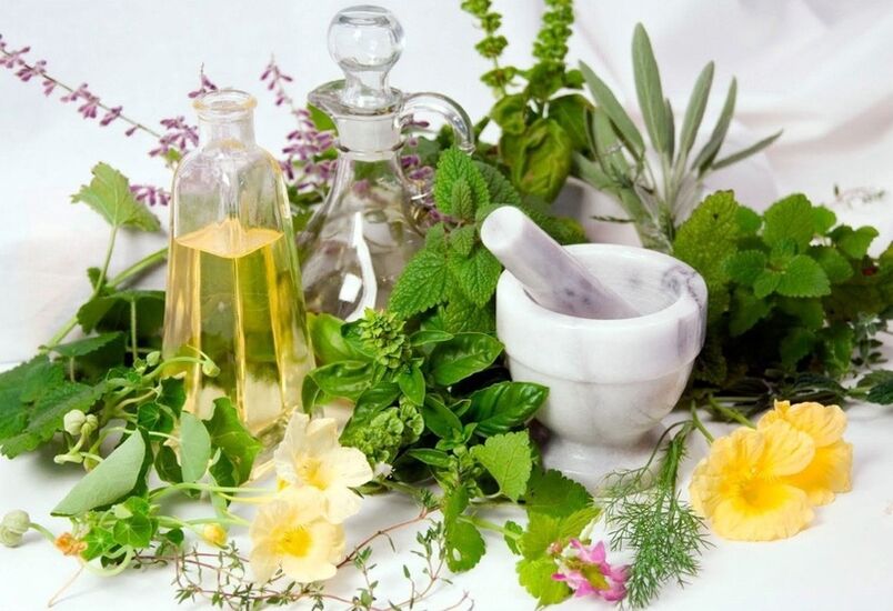 Various herbs used to compress varicose veins